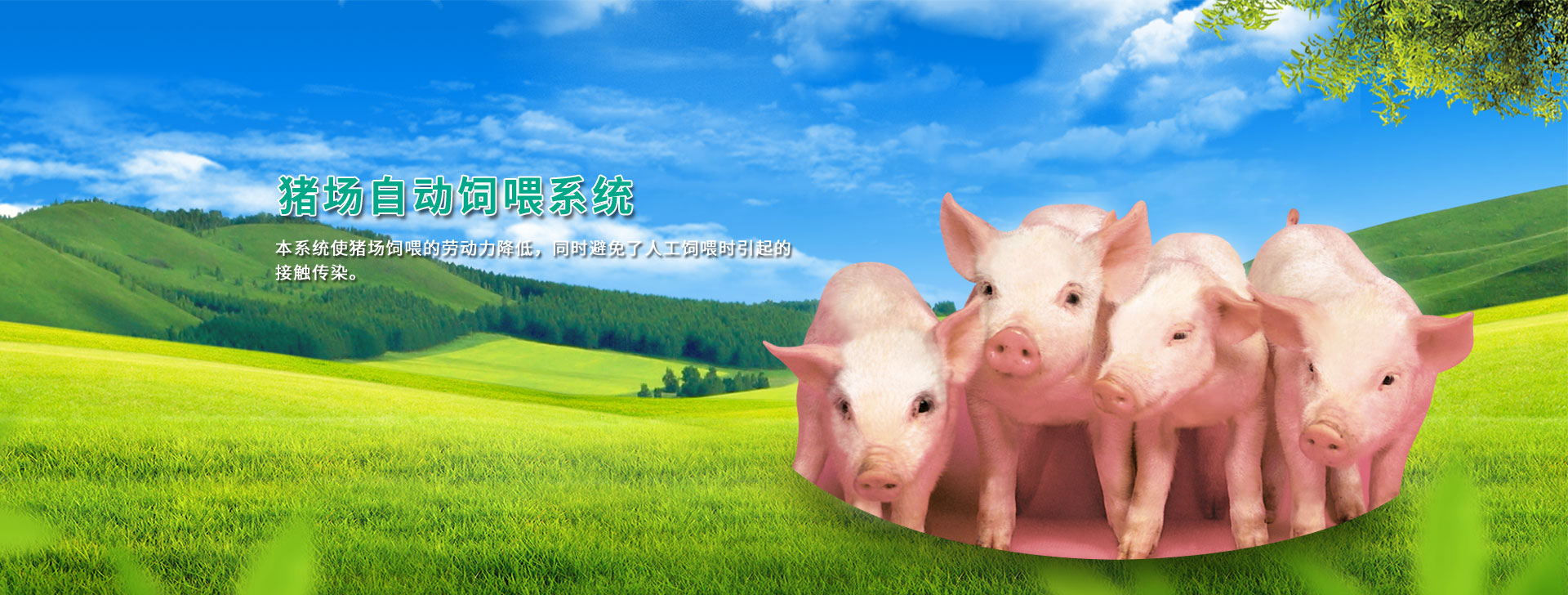黄色网站午夜福利APP