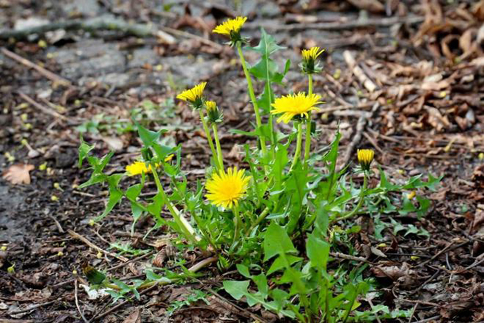 121545956.jpg 121545956.jpg