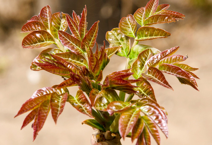 121658259.jpg 121658259.jpg