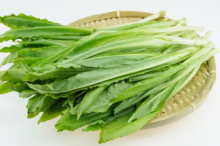 121742796.jpg 121742796.jpg